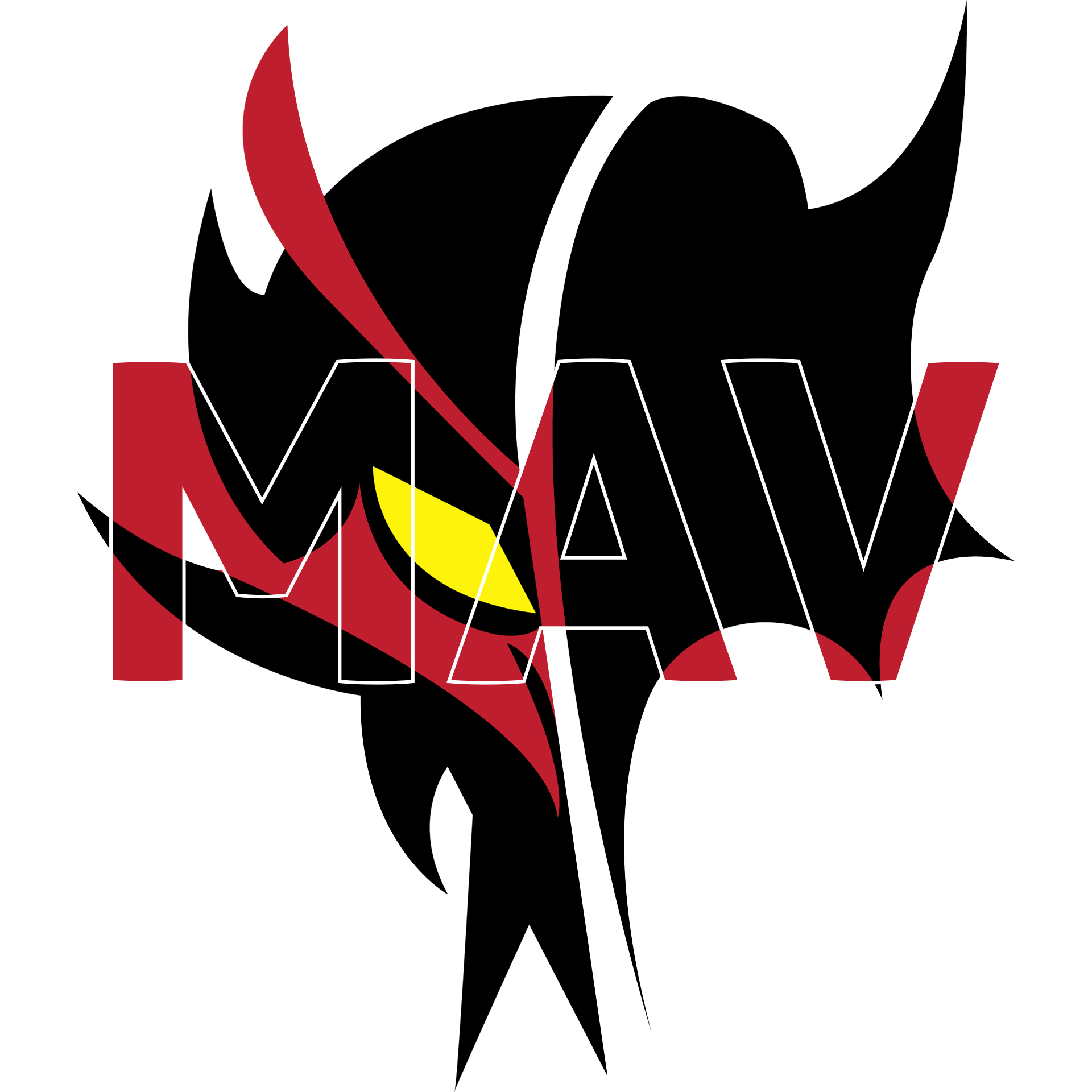 Team Logo