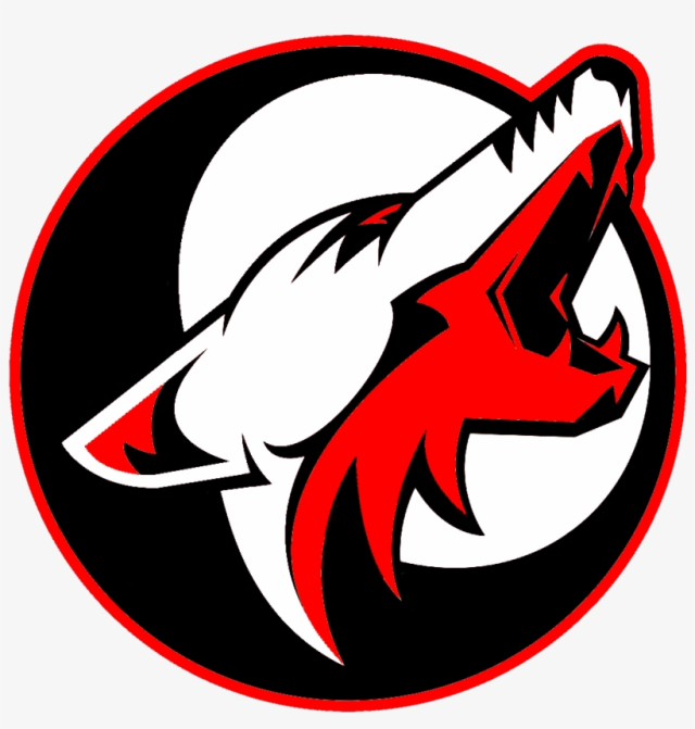 Team Logo